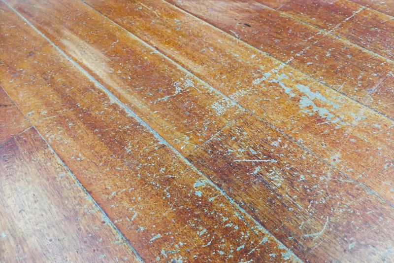 Damaged Hardwood Floors